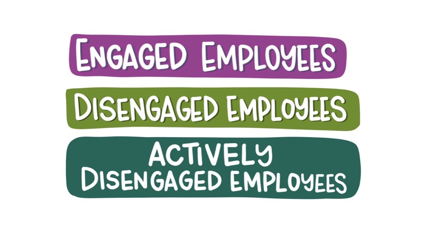 Engaged, disengaged, and actively disengaged employees.